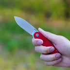 HAN309-RGS  |  D2 Steel