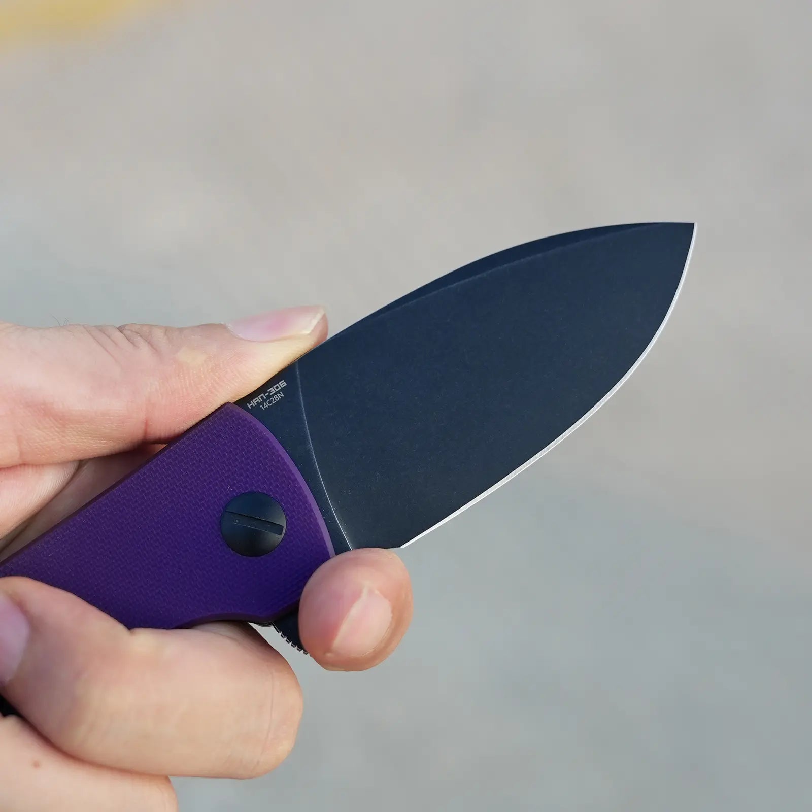 SHOOZIZ HAN306-PGB folding knife close-up in hand, black PVD 14C28N steel blade with purple G10 handle.